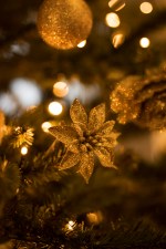 Bundel - Sparkling Gold - Afbeelding 4