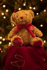 Dauwson De Kerstbeer - Afbeelding 3